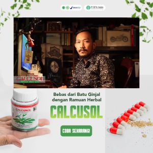 Calcusol 50 Tab Obat pencahar Batu Ginjal dan batu kemih