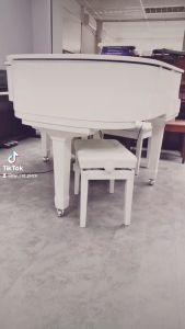 Digital Piano foldable Konix PJ88C