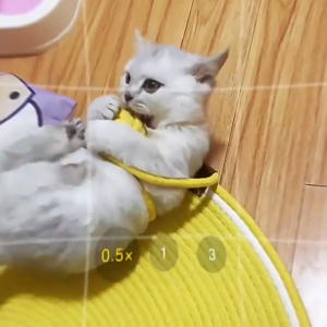 Cotton rope woven cat scratching mat toy ball integrated durable scratch-resistant wear-resistant washable pet mat cotton rope BED scratch-resistant wear-resistant  saving your NON Toxic washable  easy cleanup of fur dirt  100% natural