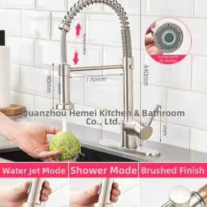 DANBIYIN | Stainless Steel Adjustable Temperature and Extendable Kitchen Faucet