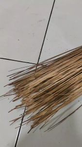 Sapu lidi dengan tangkai halaman