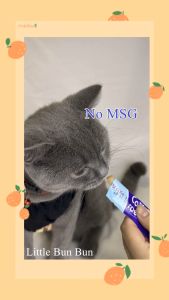 Cat Stick snack food- creamy Cat treat Cat wet food