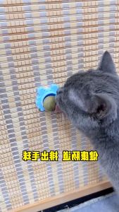 Catnip untuk Kucing - Catnip anti Stress - Catnip untuk kucing birahi - Catnip Ball - Mainan Cakaran Kucing Bola Aroma Catnip Scratcher Ball - Smart Store77