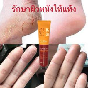 hand Cream ครีมทามือ ครีมทามือน้ำมันม้า ป้องกันผิวแห้งแตก ให้ความชุ่มชื้น บำรุงผิวมือ ขนาด 30 กรัม （T39）