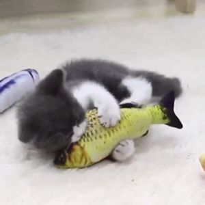 Mainan Boneka Ikan Catnip Catmint Fish Cat Toys Mainan Hewan Peliharaan