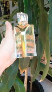 [Hàng Việt Nam Chất Lượng Cao Lưu Hương Tốt] Nước Hoa Ventilo 10 Luxury Hương Hoa Tươi Mát Nhẹ Dịu Sang Trọng Quý Phái