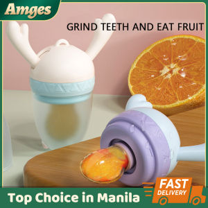 Baby Fruit Food Feeder: A Comprehensive Guide