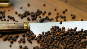 พริกไทย พริกไทยดำอบแห้ง พริกไทยดำ Dried black pepper มาตรฐาน อย. ตรา กอเงินฟาร์ม ขนาด 200 กรัม