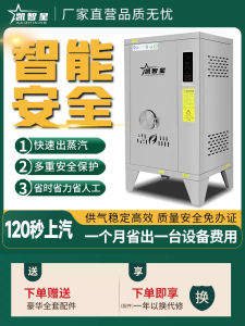 Gas/Vapor Generator Commercial Brewing Steam Engine Boiling Steamed Buns Steam Oven Sterilization and Disinfection Steam Boiler