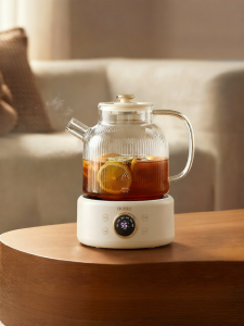 Thermostatic Electric Kettle