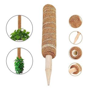 Plant Support Stick Extendable Coco Stick Coco Fiber Pole Climbing Plant Support Batang Tiang Plant Support Moss Pole Coir Moss Stick 30/40/50cm