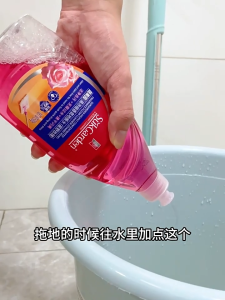 Floor Cleaner Multi-Effect Wood Floor 500g