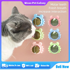Catmint Kucing Catnip Ball Snack Catnip Kucing Snack Kucing