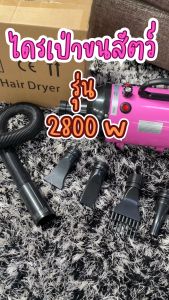 ไดร์เป่าขนสัตว์ รุ่นใหม่กับไดร์เป่าขนสูงสุด ไดร์เป่าขนแมว เครื่องเป่าขน ไดร์ไล่น้ำ สินค้าพร้อมส่งในไทย