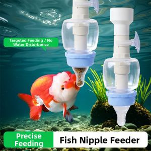 Hadassah | Accurate Feeding Red Worm Feeder Water Clarity Prevention