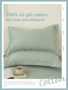 SHAYA | Vỏ Gối Bông Dày Dùng Tại Nhà