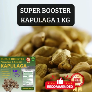 Pupuk Organik Boster Kapulaga Super Organik Penyubur Pelebat Buah Dan Anti Rontok 1000 gr