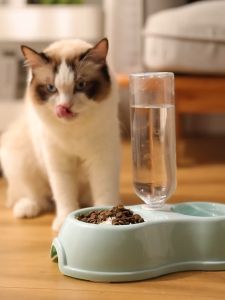 Pet 2in1 bowl Dog Cat food bowl drinking feeding automatiz water bowl