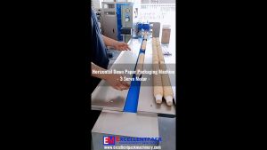Horizontal Packaging Machine - 3 Servo Motor -