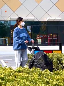 Pet stroller Folding stroller 360° universal wheeled cat and dog stroller Outdoor travel stroller Portable Pet stroller宠物婴儿车