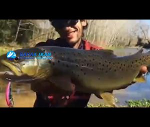 1Pcs 15 Warna Umpan Pancing 5g/5cm Ikan Kecil Tenggelam 3D Mata Laser Trolling Plastik Umpan Buzz Dengan 2 Kail Trible-BK236