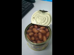 IKPS Braised Peanuts / Kacang Tanah / Kacang Rebus