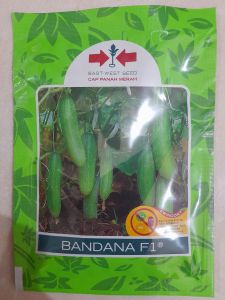 Benih Bibit Timun Super  Tahan Virus Cap Panah Merah Kemasan BANDANA F1 800 butir
