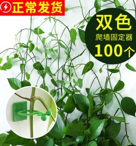 Indoor Plant Green Vine Wall Climbing Fixed Device Seamless Buckle Home Garden Supplies No Trace Hook Hanger for Potted Plants