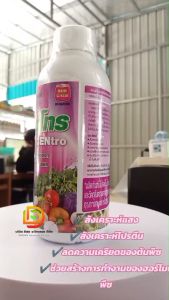 อะมิโน (เซนโทร) สูตรเข้มข้น 1 ลิตร อะมิโนเข้มข้น ปุ๋ยน้ำ ปุ๋ยทุเรียน ช่วยเรื่องบำรุงผล รสชาติ