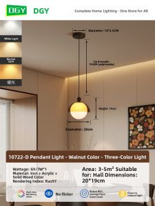 DGY | Retro Style Passage Light Corridor Light Balcony Light Entrance Light Ceiling Light