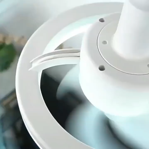 【SG Local Stock】48W E27  Fan Light Remote Lights 48 Modern Smart Ceiling Fan 360 ° Rotation 3000k-6500k bathroom fan light Ceiling Fans带灯风扇