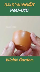 กระถาง PU010 ขนาด 2.5 นิ้ว สีอิฐ 6 ใบ กระถางกระบองเพชร กระถางปลูกต้นไม้ เนื้อพลาสติกแน่นหนาทนทาน ราคาถูก กระถางแคคตัส กระถางกระบองเพชร