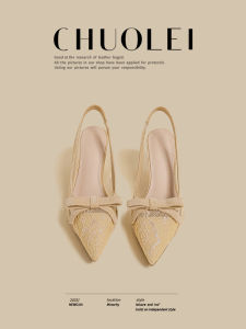 CHUOLEI | Spring Nude Pointed Bow Tie Traditional Slip-On Shoes