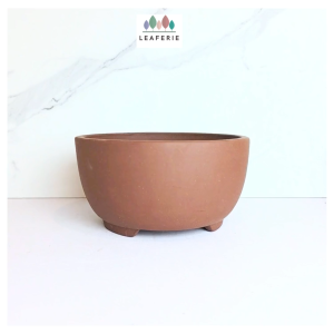 The Leaferie Reimi Bonsai Flowerpot (Series 5) Adenium planters pot Desert rose flowerpots Flower pot