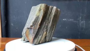 1 viên gỗ hóa thạch 15cm tự nhiên hàng việt dùng trang trí nhà cửa sân vườn nặng 2450g 3