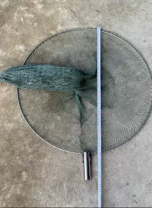 Vợt cá SIÊU TO ( 80X70CM ĐK ) Lưới cước biển vớt cá từ nhỏ đến lớn - XÁM TO