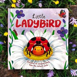 Little Ladybird Discover an Amazing Story from the Natural World