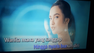 flashdisk Sandisk 32GB isi lagu karaoke mobil/bus/bis/studio karaoke