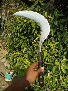 COD! arit padirumput sabit rambas rumput alat pemotong rumput khas Madura asli cap bintang lima baja pir super tajam gratis ongkir seluruh Indonesia