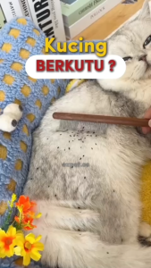 EZPET Semburan Kutu & Tanda Haiwan 100ml | Spray Kutu Anjing Kucing Kulit Sensitif | EZPET Pet Flea Tick Control Spray for Dogs Cats Itchy Skin Anti Parasite Spray Natural Formula Safe for Pets Kutu Spray Flea Control Spray Tick Spray 猫狗驱虫喷雾 宠物跳蚤蜱虫喷雾