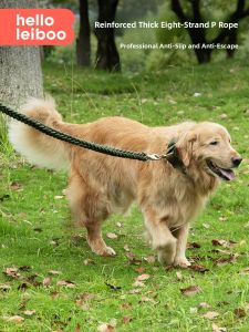 HELLOLEIBOO | Shock Absorbing Adjustable Dog Leash for Medium and Large Breeds