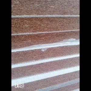 Floor Sleeping Mat Tatami Mattress Foldable Floor Mattress For Sleeping Custom Mattress Double-Sided Four Seasons Universal 榻榻米