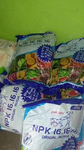 Pupuk NPK 16 Rusia Pak Tani original pack 1kg