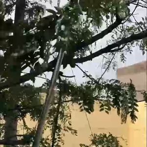 fruit picker galah kait buah galah panjang Sickle six-piece set Wide applicability convenient for replacement durable and sturdy