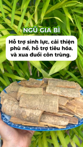 [ Shop Mới ] Ngũ Gia Bì Chân Chim - 1kg Gia Bì Vỏ - Hàng chuẩn mới sạch khô