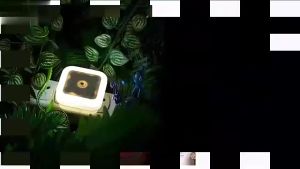 Auto LED Night Light: A Comprehensive Guide