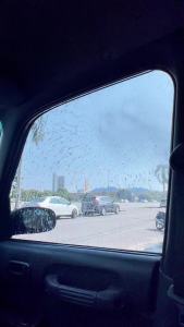 Shark Wax Windscreen Rain Repellent 300ML US Technology Windshield Coating Car Glass Water Repellant Coating Spray 玻璃镀膜