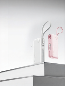 W&P | Airplane-safe 3-in-1 Power Bank 35w Fast Charging Portable Dual Cable with Built-in Plug