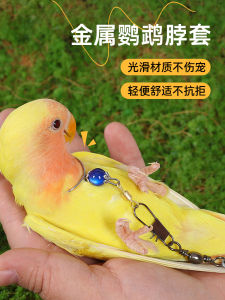 Parrot Bandana Super Light Flying Rope for Birds Tiger Skin Little Sun Peony Xuanfeng Parrot Collar Stainless Steel Bird Chain