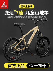 Phoenix Youth Mountain Bike Childrens Off-Road Bicycle Gear Shift Student Teenager Boys Girls High Carbon Steel Frame